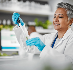 Hand holding a lab dish that contains a mint leaf